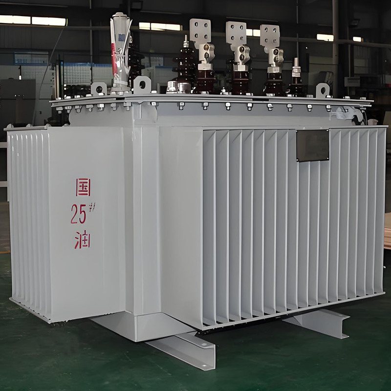 سلسلة S11 محول طاقة غمر بالزيت 6kv 10kv 11kv 15kv 30kv 33kv محول توزيع ثلاثي المراحل